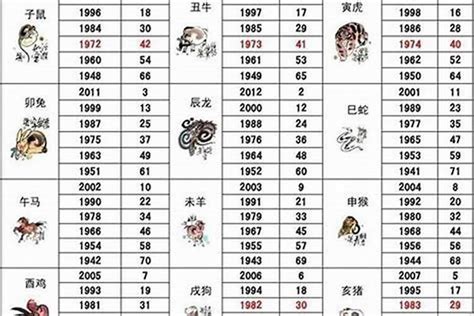 49岁属什么生肖2023|49岁属什么生肖 49岁属什么生肖2023